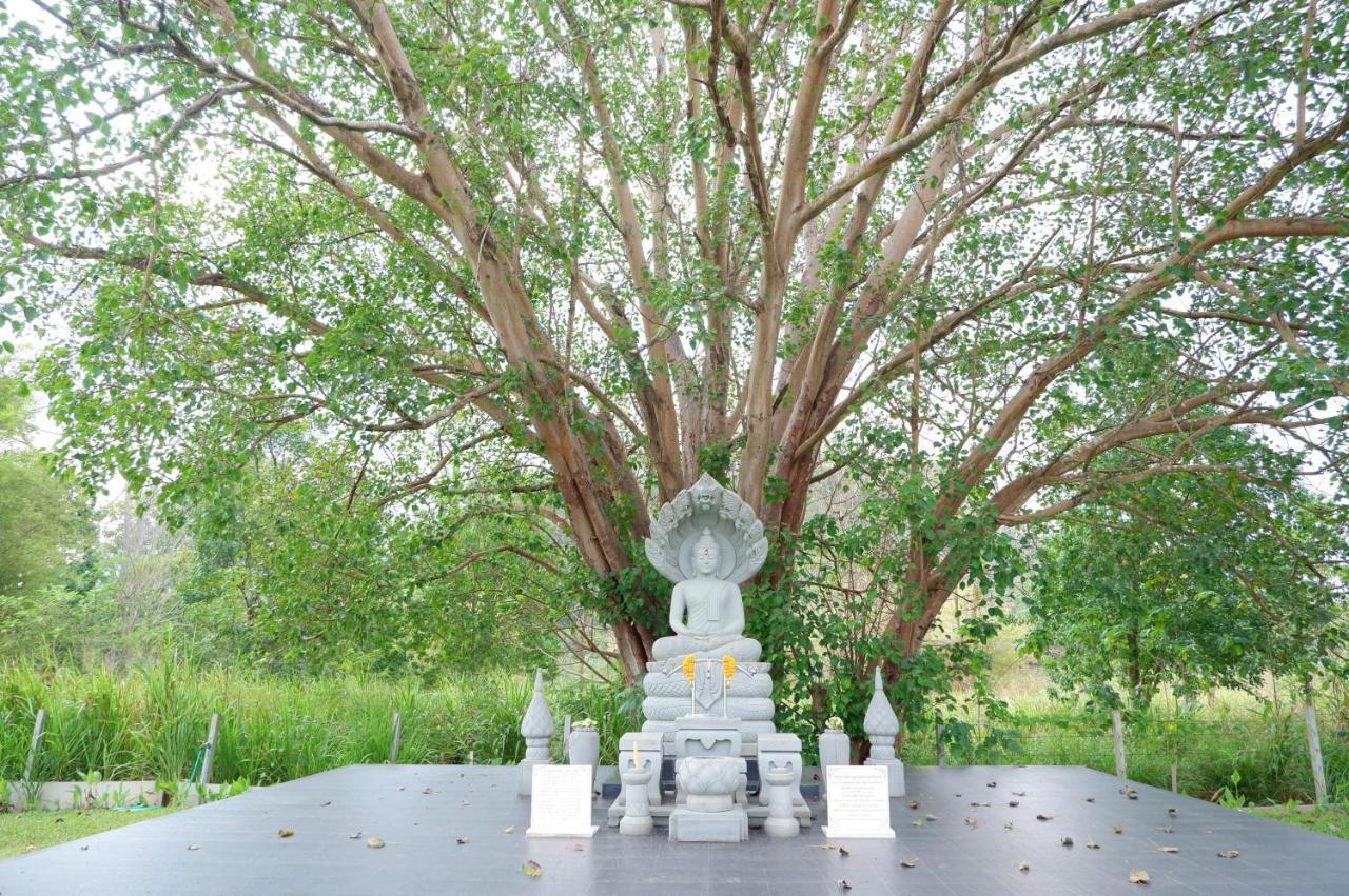 ทิพย์วาริน รีสอร์ท เขาใหญ่ Ban Tha Chang Exterior foto